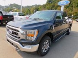 Antimatter Blue Ford F150 in 2021