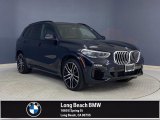 2019 Carbon Black Metallic BMW X5 xDrive50i #142881649