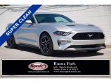 2019 Ingot Silver Ford Mustang EcoBoost Premium Fastback #142887709