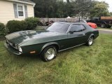 1973 Ford Mustang Dark Green Metallic