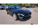 2021 Shadow Black Ford Mustang EcoBoost Premium Fastback #142989872