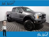 2020 Magnetic Ford F150 STX SuperCrew 4x4 #143030152