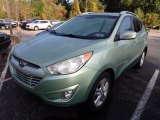 2013 Kiwi Green Hyundai Tucson GLS AWD #143054087