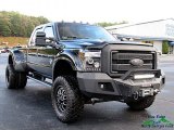 2016 Ford F450 Super Duty Platinum Crew Cab 4x4 Front 3/4 View