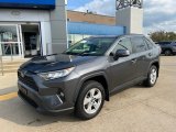 2019 Magnetic Gray Metallic Toyota RAV4 XLE #143079097