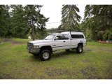 1996 Stone White Dodge Ram 2500 ST Extended Cab 4x4 #143143609