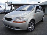 2004 Galaxy Silver Metallic Chevrolet Aveo Hatchback #14300602