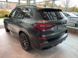 2022 BMW X5 xDrive40i Black Vermillion Edition Exterior