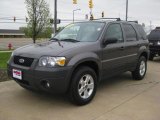 2006 Dark Shadow Grey Metallic Ford Escape XLT #14300545