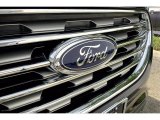 Ford Edge 2020 Badges and Logos