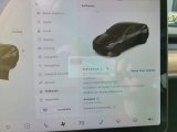 2020 Tesla Model Y Performance Controls