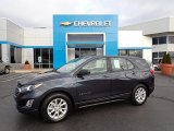 2019 Storm Blue Metallic Chevrolet Equinox LS #143411939