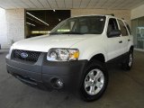 2006 Oxford White Ford Escape XLT V6 4WD #14300561