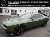 2019 Dodge Challenger R/T Scat Pack Stars and Stripes Edition