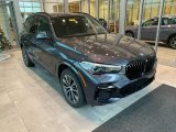 2022 Arctic Gray Metallic BMW X5 xDrive40i #143518140