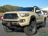 Cement Gray Toyota Tacoma in 2019