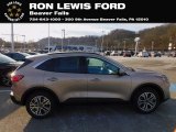 2021 Ford Escape SEL 4WD