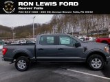 Carbonized Gray Ford F150 in 2021