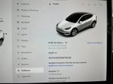 2021 Tesla Model Y Long Range AWD Controls