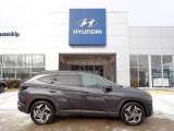 2022 Portofino Gray Hyundai Tucson Limited #143693058