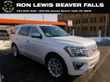 White Platinum Ford Expedition in 2018