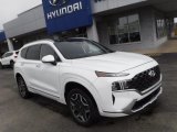 2021 Hyundai Santa Fe Calligraphy AWD