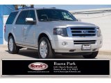 2011 Ingot Silver Metallic Ford Expedition Limited #143897840