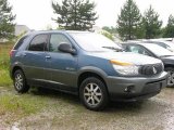 Opal Blue Buick Rendezvous in 2002