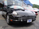 2002 Evening Black Ford Thunderbird Premium Roadster #14364424