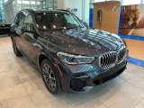 2022 Arctic Gray Metallic BMW X5 xDrive40i #144034711