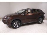 2019 Lexus NX Autumn Shimmer