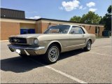 1965 Ford Mustang Coupe Front 3/4 View