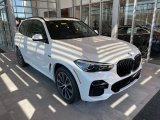 Mineral White Metallic BMW X5 in 2022
