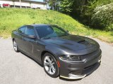 2022 Dodge Charger Granite Pearl