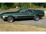 1971 Forest Green Ford Mustang Mach 1 #144175508
