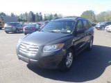 2012 Black Forest Green Hyundai Santa Fe GLS #144183690