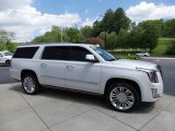 2019 Cadillac Escalade ESV Platinum 4WD Exterior