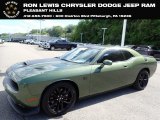 2019 F8 Green Dodge Challenger R/T Scat Pack Stars and Stripes Edition #144183978