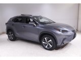 2019 Lexus NX 300 AWD