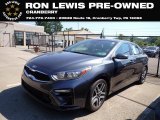 2019 Gravity Grey Kia Forte EX #144319119