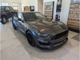 2019 Magnetic Ford Mustang Shelby GT350 #144376356