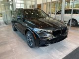 2022 Black Sapphire Metallic BMW X5 xDrive40i #144406212