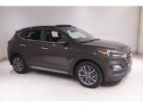 Sage Brown Hyundai Tucson in 2019