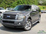 Carbon Metallic Ford Expedition in 2007