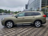 2022 Subaru Ascent Limited Exterior