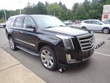 2015 Cadillac Escalade Luxury 4WD Front 3/4 View