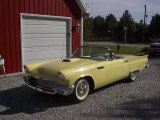 1957 Inca Gold Ford Thunderbird Convertible #144668338