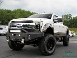 White Gold Ford F250 Super Duty in 2017