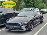 2019 Shadow Black Ford Mustang EcoBoost Fastback #144703767