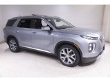 2020 Lagoon Silver Hyundai Palisade SEL AWD #144728549